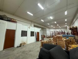 Focus One (D14), Factory #496205401